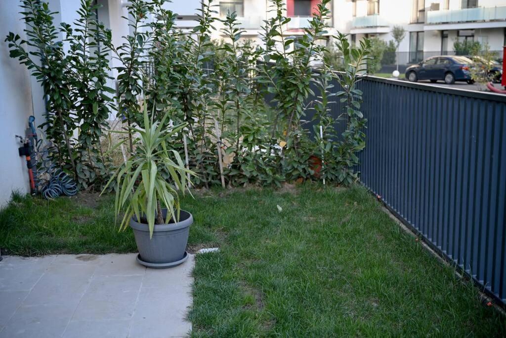 Ferienwohnung #Minehouse Timişoara Exterior foto