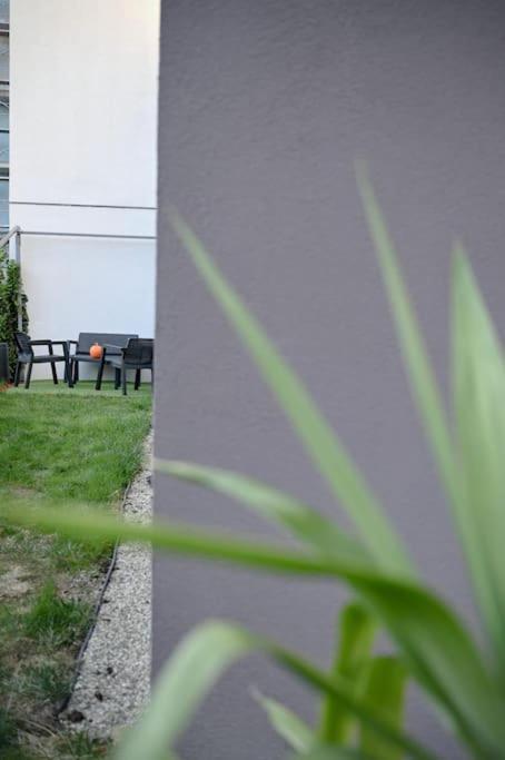 Ferienwohnung #Minehouse Timişoara Exterior foto